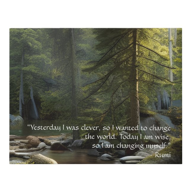 Today I Am Wise Quote Nature Landscape  Faux Canvas Print (Front)