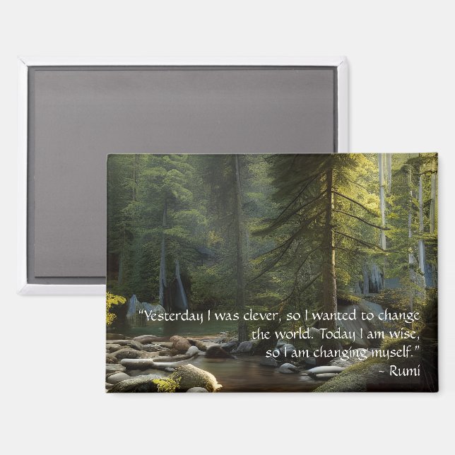 Today I Am Wise Quote Nature Landscape  Magnet (Front/Back)