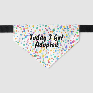 Today I Got Adopted Conffetti Rescue Pet Bandana Collar