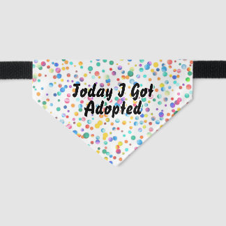 Today I Got Adopted Conffetti Rescue Pet Bandana Collar