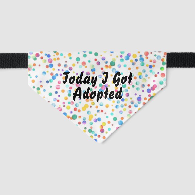 Today I Got Adopted Conffetti Rescue Pet Bandana Collar (Front)