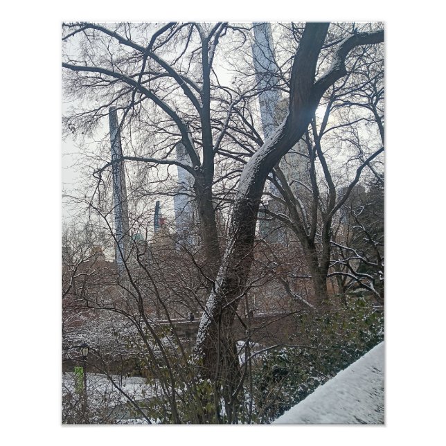 Today in New York City Central Park Photo Print (Front)