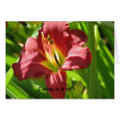 Today is a gift (Front Horizontal)