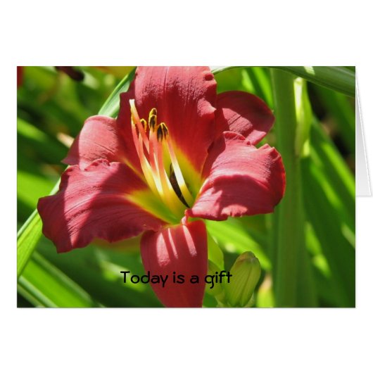 Today is a gift cards (Front Horizontal)