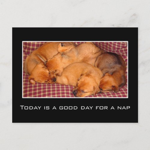 Today is a good day for a nap postcard