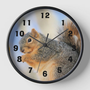 Todays furball clock