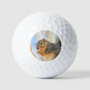 Todays furball   golf balls