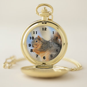 Todays furball pocket watch