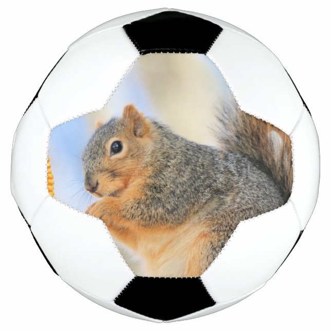 Todays furball  soccer ball (Front)