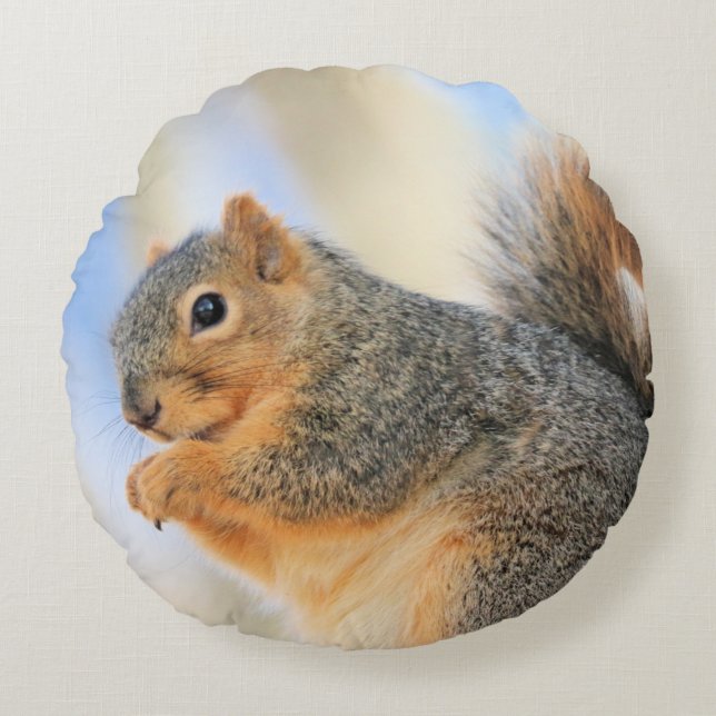 Todays furrball  round pillow (Front)