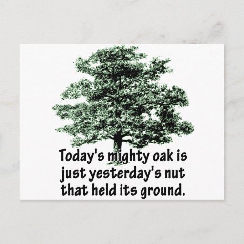 Todays mighty oak is just yesterdays nut that he postcard