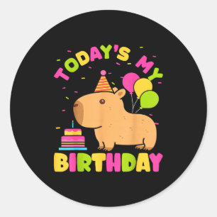 Todays My Birthday Girls Capybara Lovers Birthday Classic Round Sticker