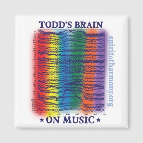 todd_brain magnet