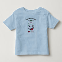 Toddler Dakota Language Nest Tee