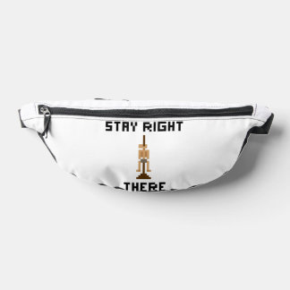 todylesleyj fanny pack