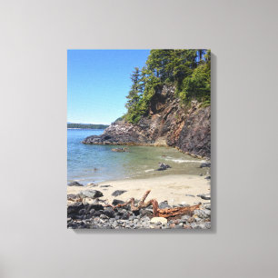 Tofino BC isolated beach Canvas Print