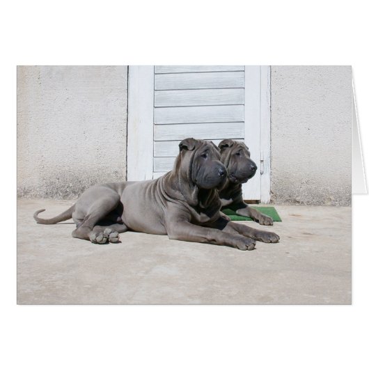 Together... (Front Horizontal)