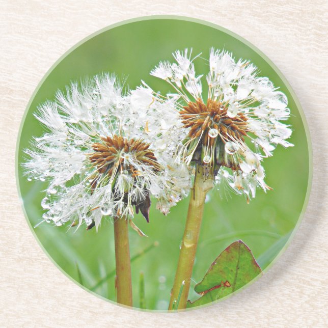 Together. Always Coaster (Front)