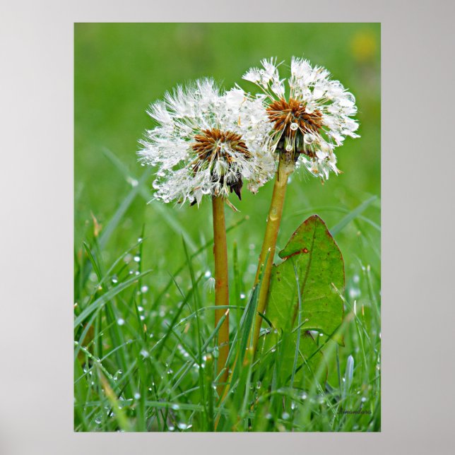 Together. Always Poster (Front)