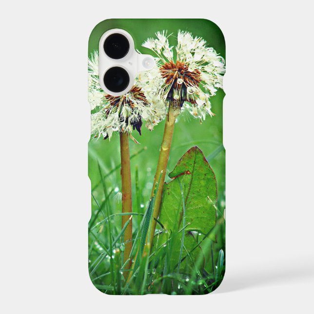 Together. Always Two Dandelions with raindrops Iphone Case (Back)