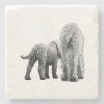 Together in Texture Stone Coaster