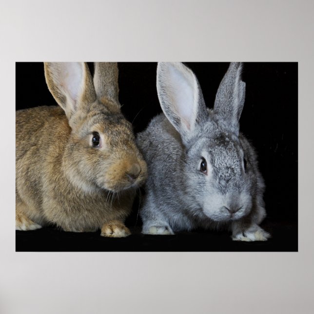 Together Poster (Front)