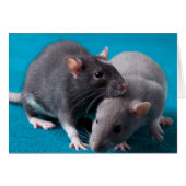 Together rats Card (Front Horizontal)
