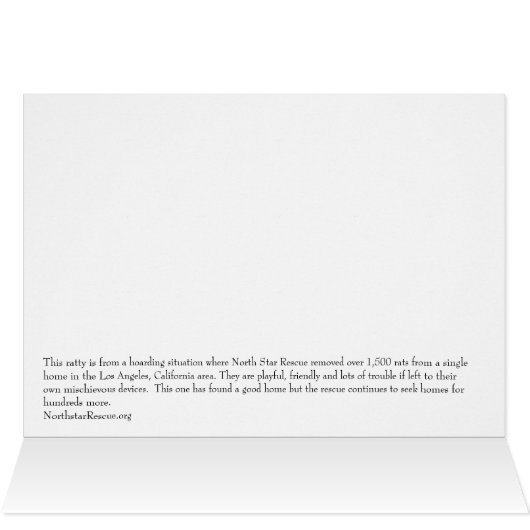 Together rats Card (Inside Horizontal (Top))