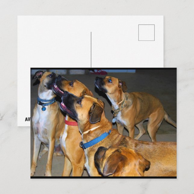 Together they are One Postcard (Front/Back)