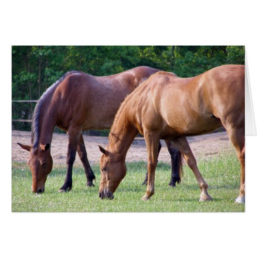 togetherness (Front Horizontal)