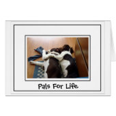 Togetherness (Front Horizontal)