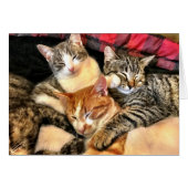 Togetherness (Front Horizontal)