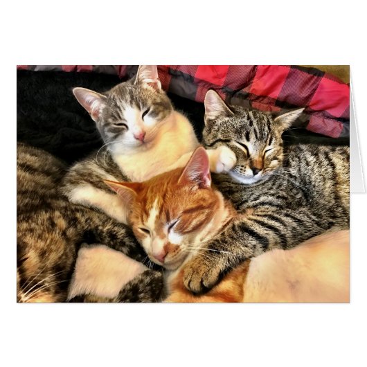 Togetherness Cards (Front Horizontal)