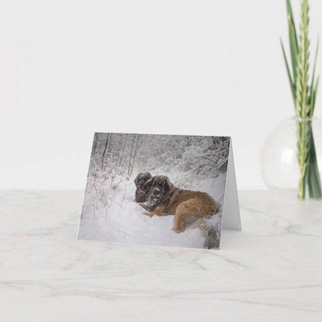 Togetherness Holiday (Front)