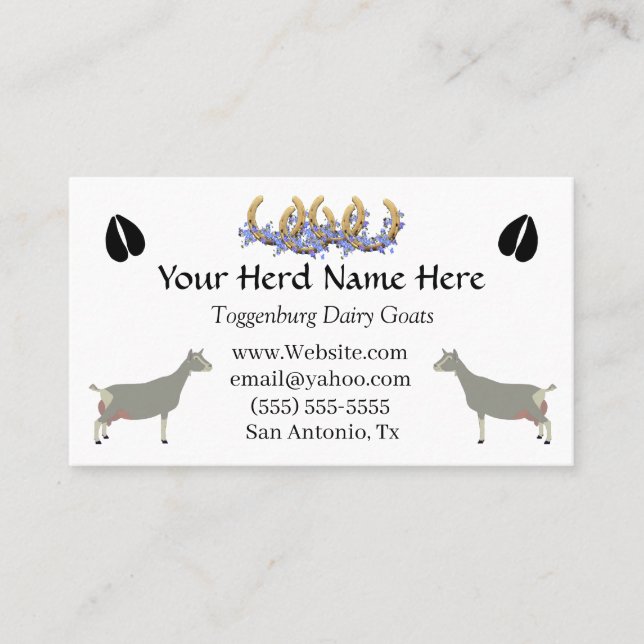 Toggenburg Dairy Goat Business Card (Front)