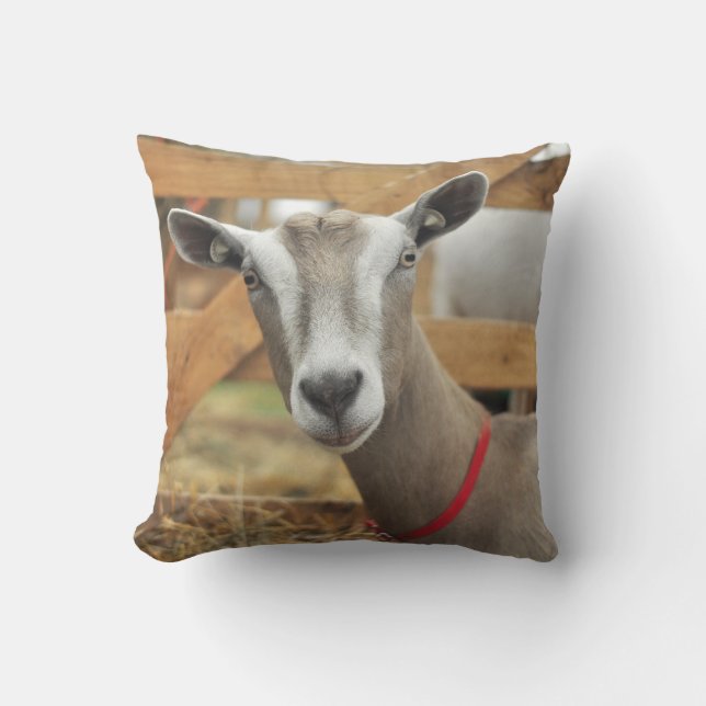 Toggenburg Dairy Goat Doe Throw Pillow (Front)