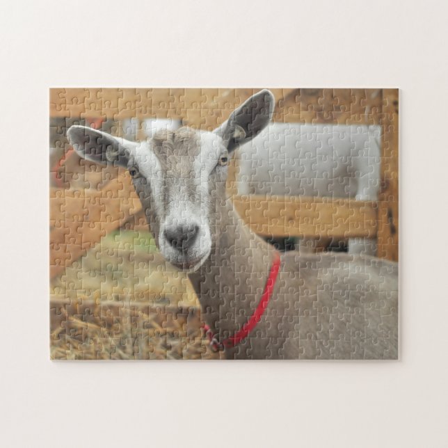 Toggenburg Dairy Goat Jigsaw Puzzle (Horizontal)