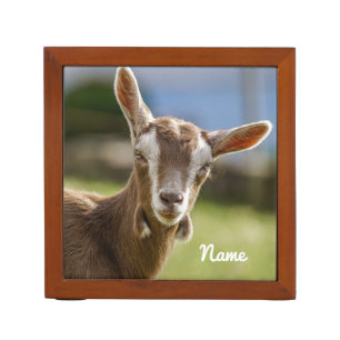 Toggenburg Dairy Goat Kid Desk Organizer
