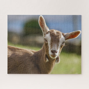Toggenburg Dairy Goat Kid Jigsaw Puzzle