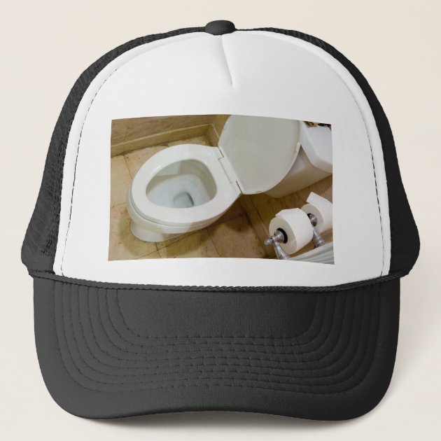 toilet hat