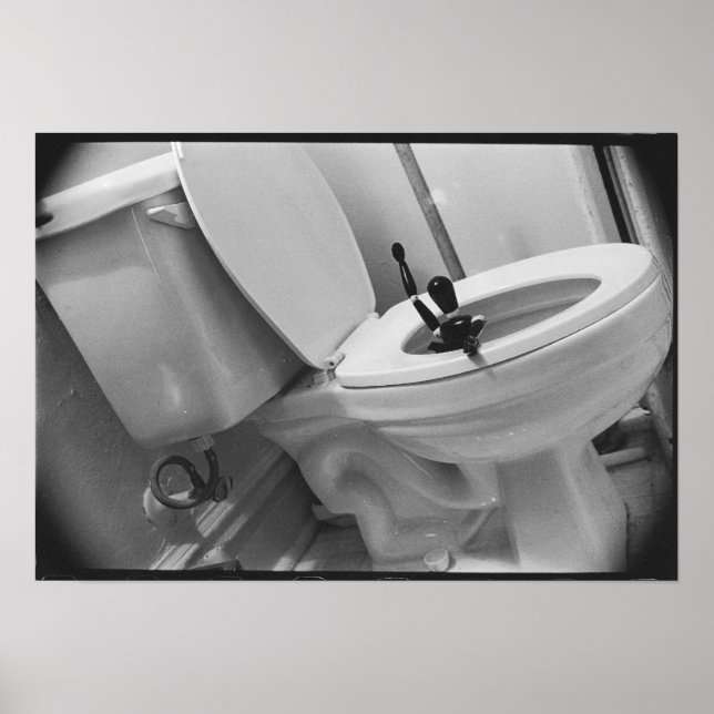 Toilet Humor Poster (Front)
