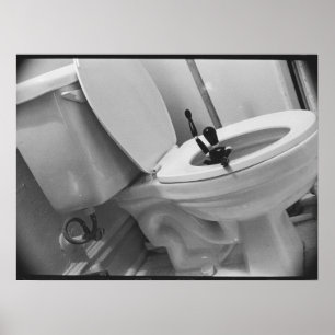 Toilet Humor Poster