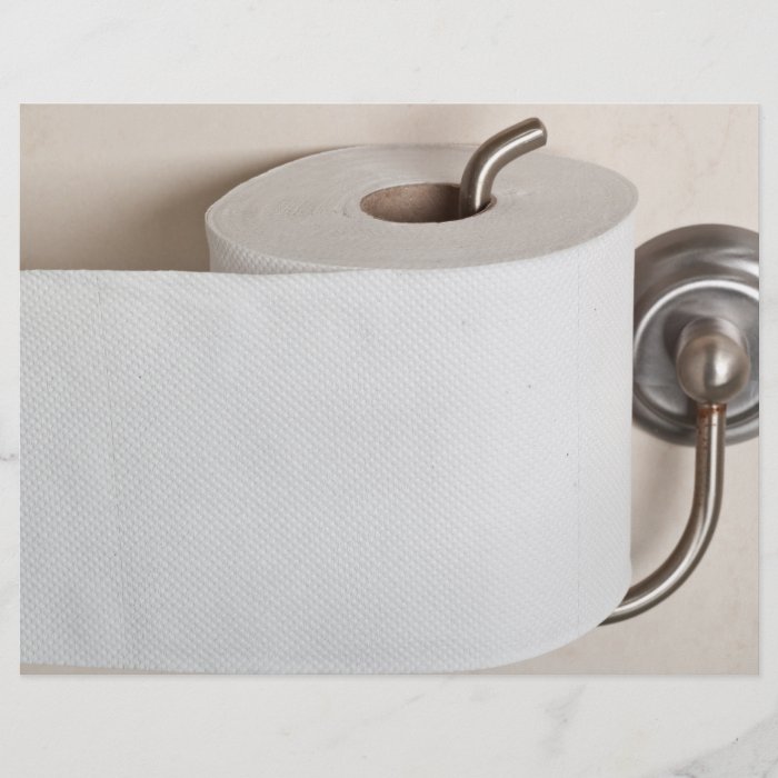 Toilet paper full color flyer