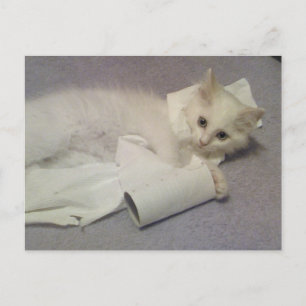 toilet paper fun postcard