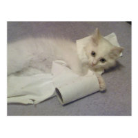 toilet paper fun postcard