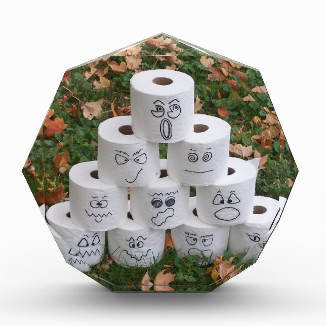 Toilet Paper Pyramid Award (Front)