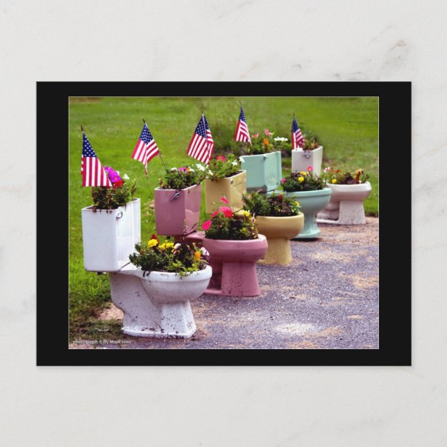 Toilet Planters Postcard (Front)