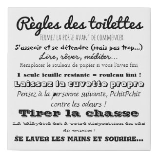 Toilet rules faux canvas print