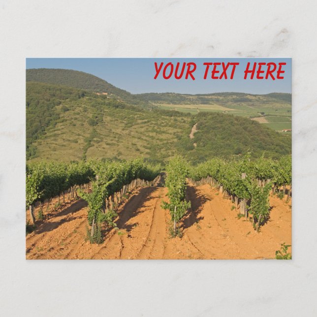Tokaj vineyards, Hungary customizable Postcard (Front)