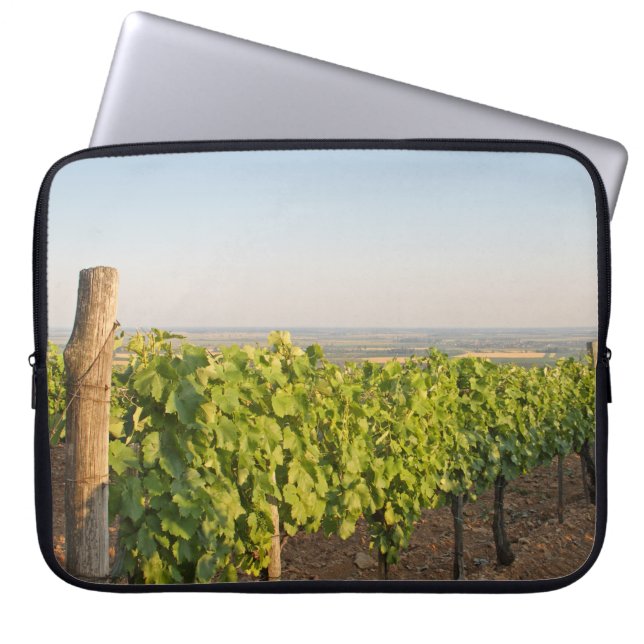 Tokaj vineyards, Hungary Laptop Sleeve (Front)